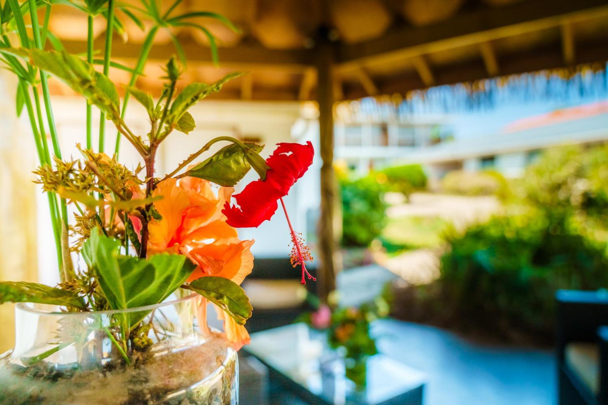 Matariki Sunset Apart Hotel Hanga Roa Ngoại thất bức ảnh